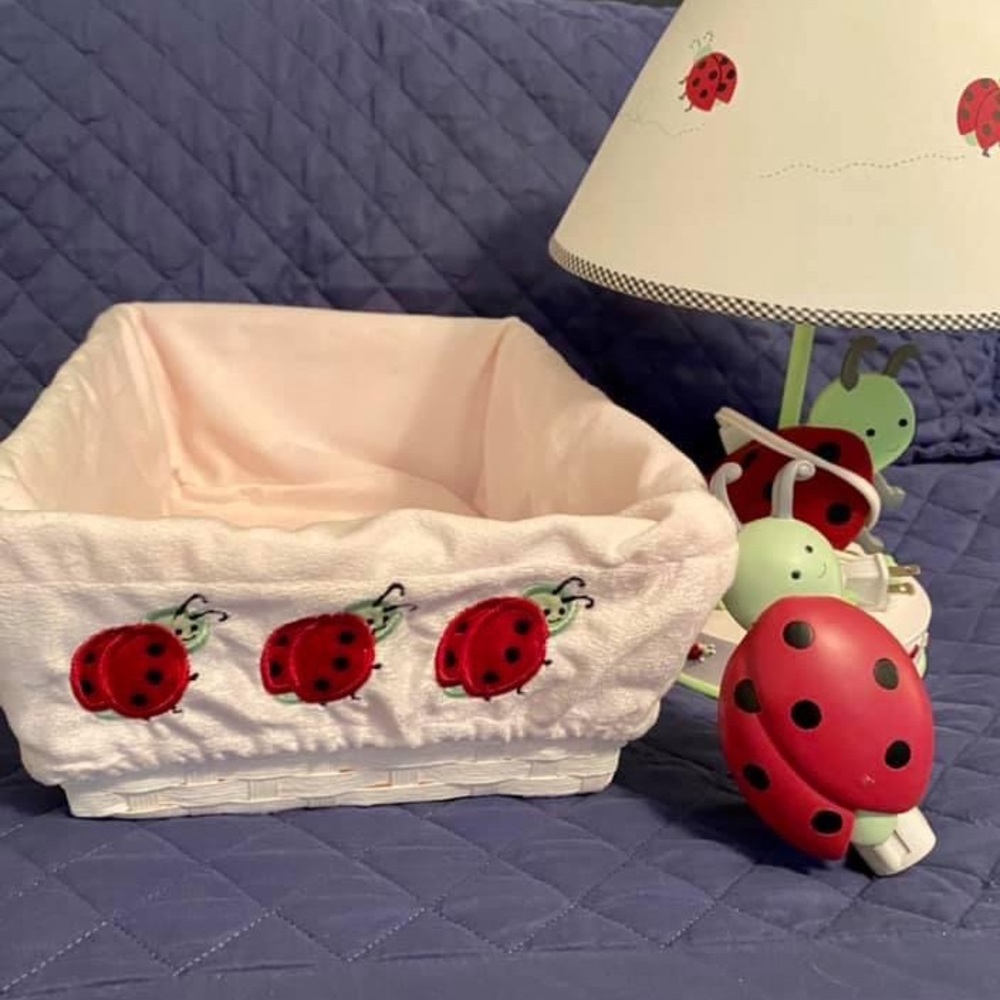 Ladybug accessories for little girl nursery/room